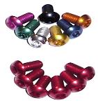 Aluminum Alloy Torx Bolts