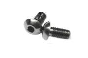 Shallow Head Titanium Water Bottle Bolt Pair M5x8.5